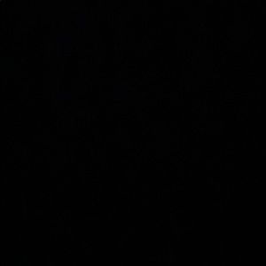 Meet your Posher, Riley